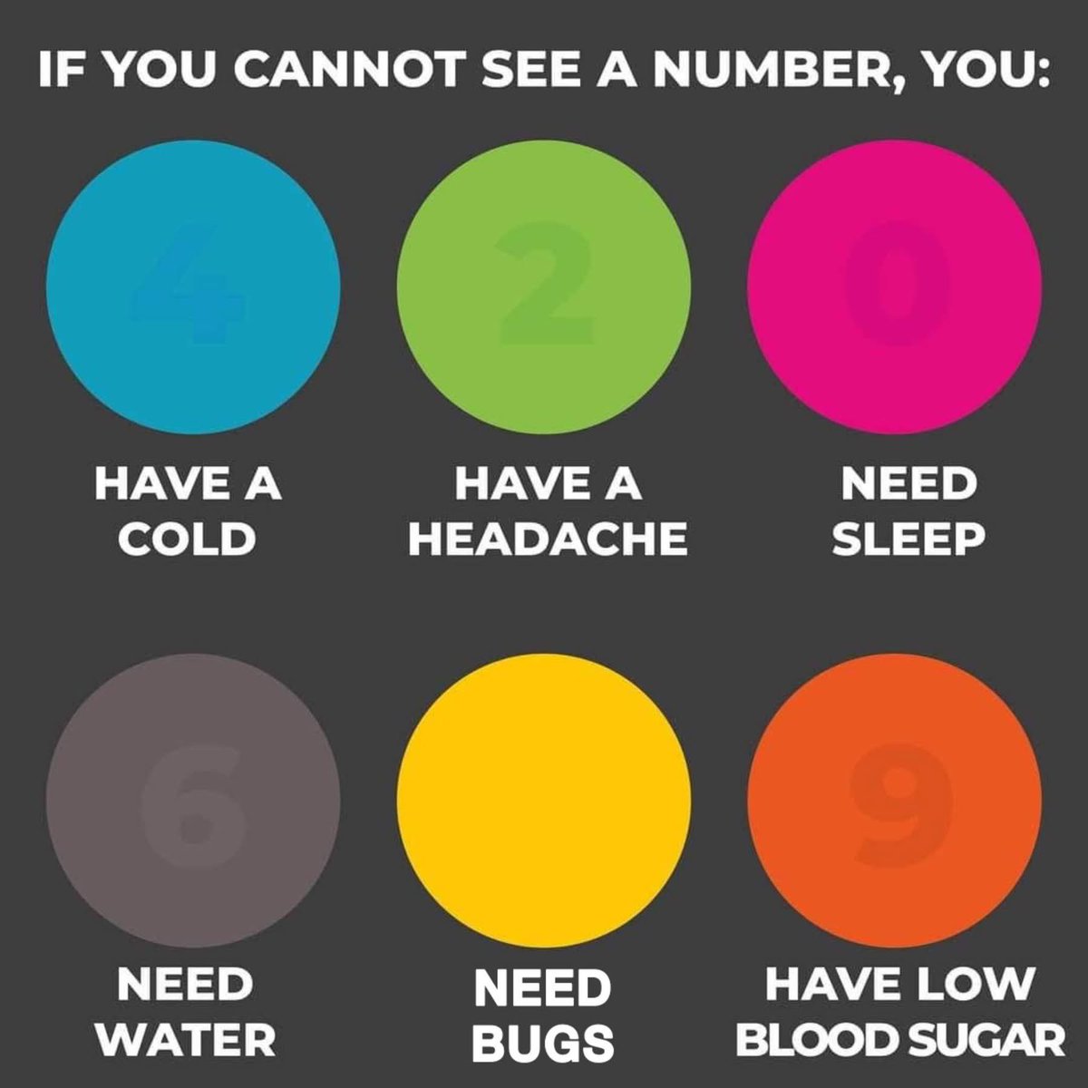 Entomemeology (@entomemeology) on Twitter photo 