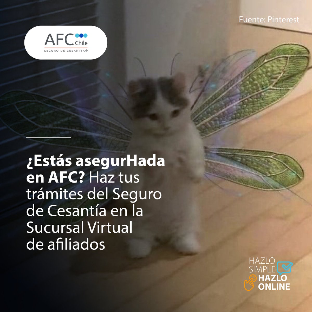 🧚Aprovecha las herramientas en línea del #SegurodeCesantía.

Ingresa a tu Sucursal Virtual de afiliados con tu #ClaveÚnica o clave #AFC 👉 bit.ly/3hhafiliado

#desempleo #cesantía #haypega #AFCChile