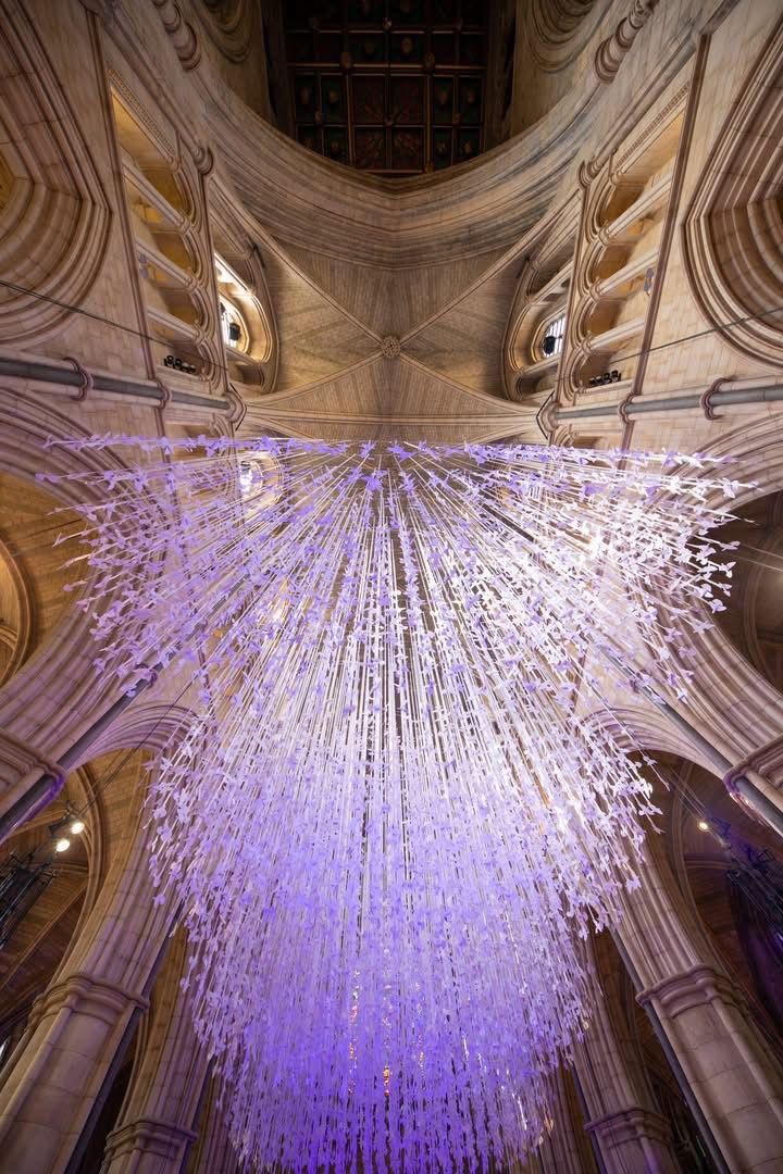 We are delighted to host <a href="/Southwarkcathed/">Southwark Cathedral</a> 12,000 Peace Doves,  each with messages of peace written by visitors, school children and community groups - an amazing light filled installation created by internationally acclaimed sculptor Peter Walker #PrayforPeace #ComeandSee