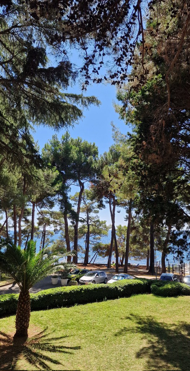 Gospođa je dočekala odmor 💃🏻