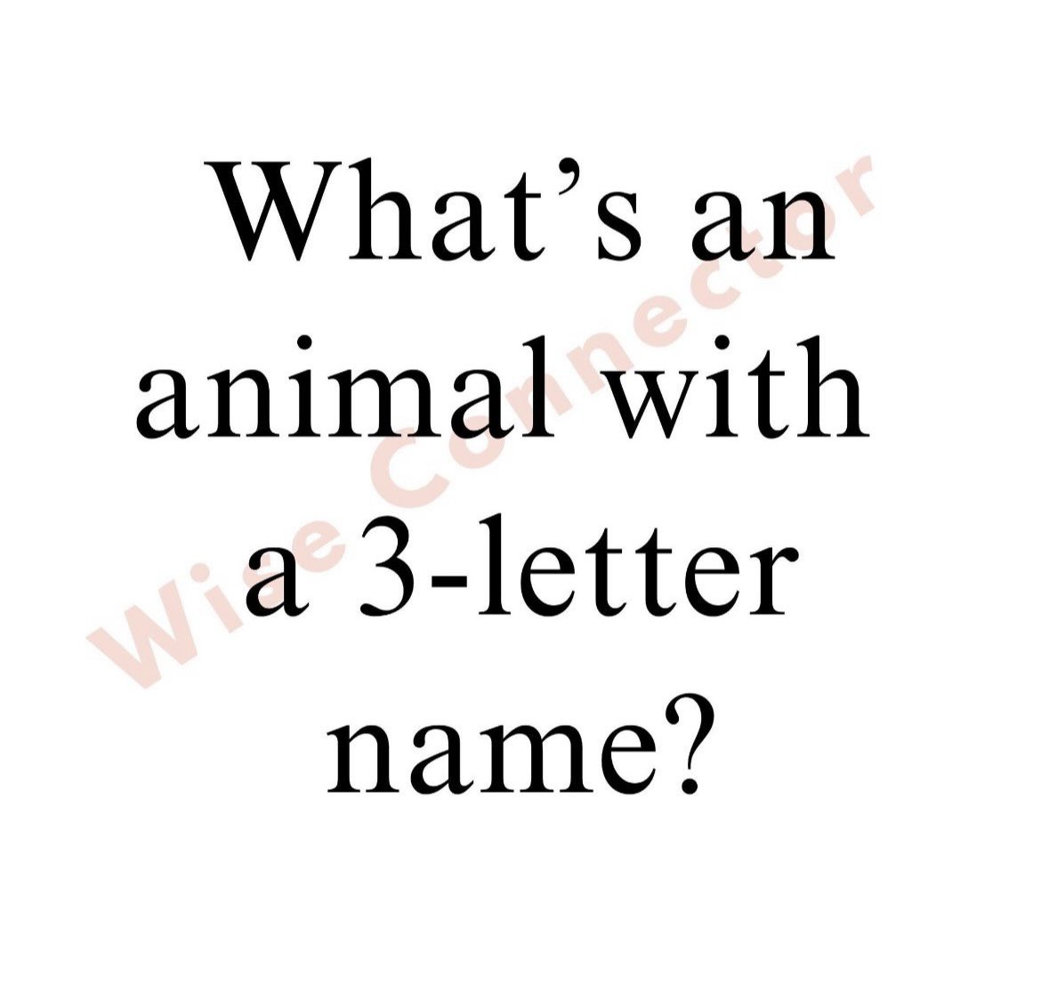 Ｗ 𝗜 𝗦 𝗘 𝗖 𝗢 𝗡 𝗡 𝗘 𝗖 𝗧 𝗢 𝗥 ™ 💬 tweet media