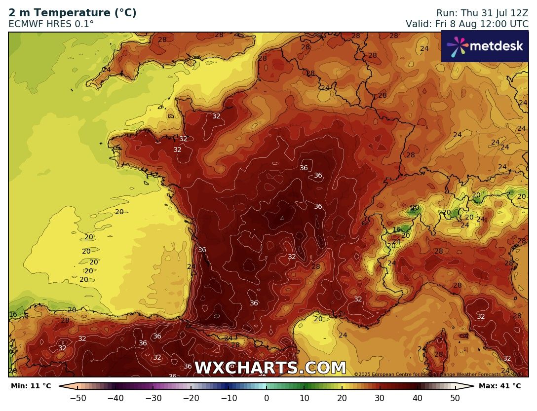 Rouslan Tremblier tweet media