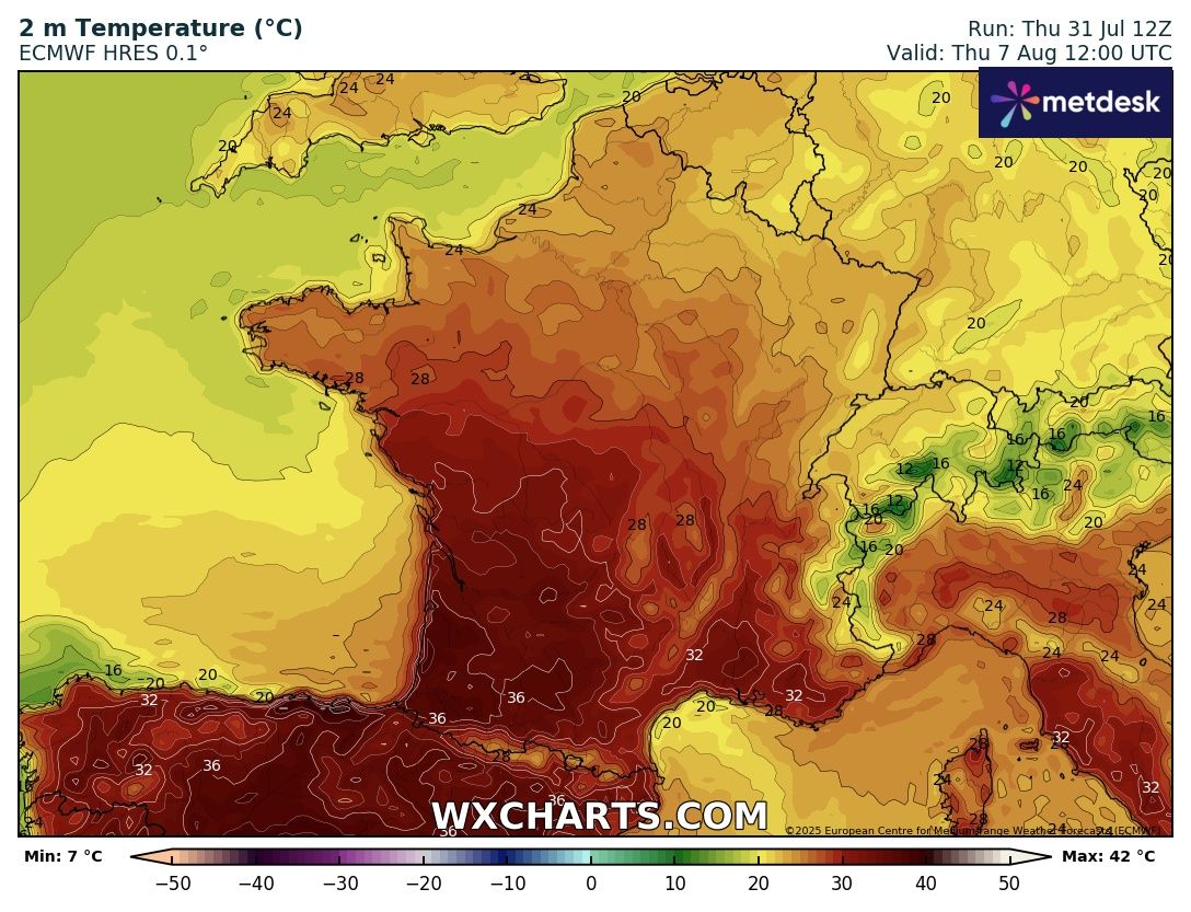 Rouslan Tremblier tweet media