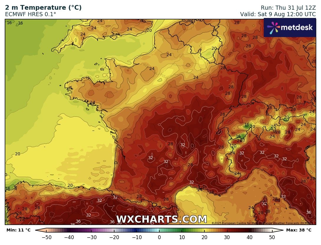 Rouslan Tremblier tweet media