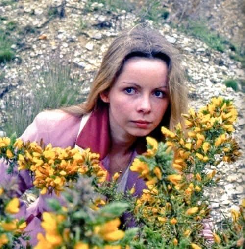 Astrozombies777's tweet image. If you had to choose who would be your picks as your four favourite #DoctorWho companions? These are mine closely followed by k9.