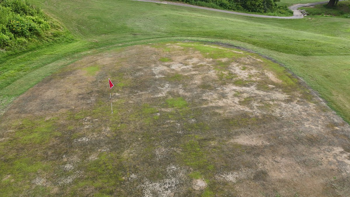 Louisville Metro Golf tweet media