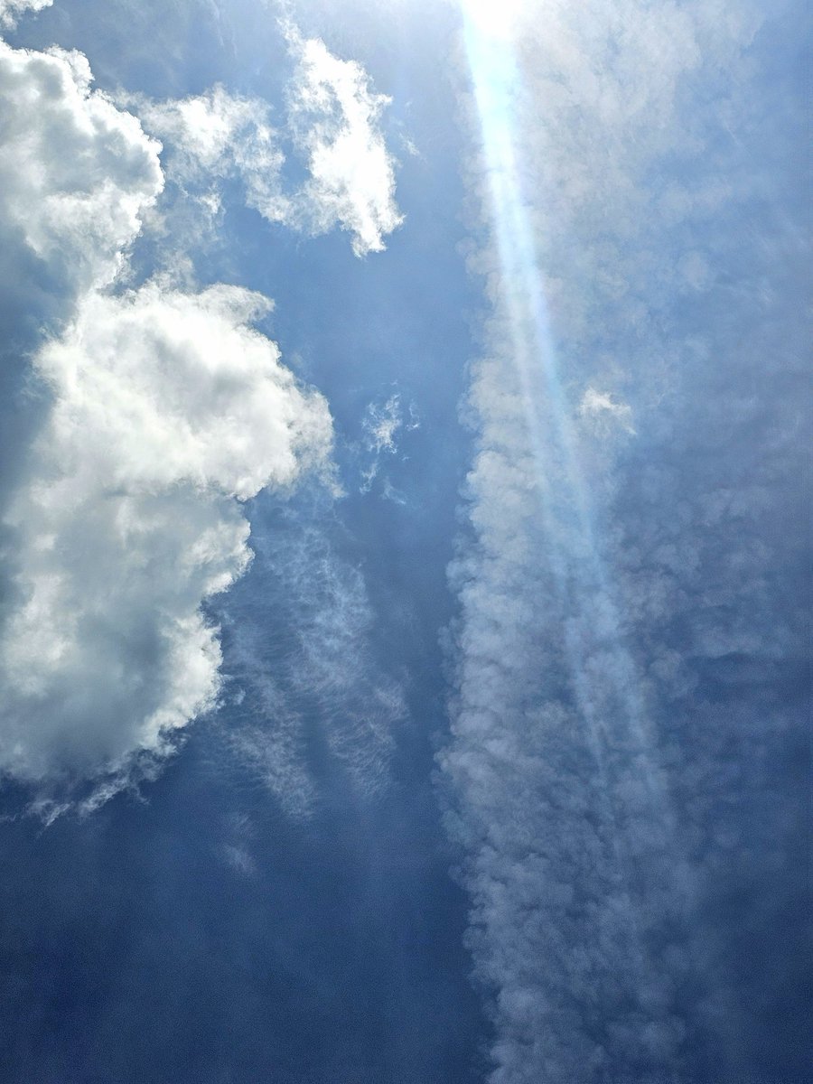 Big boy right there.