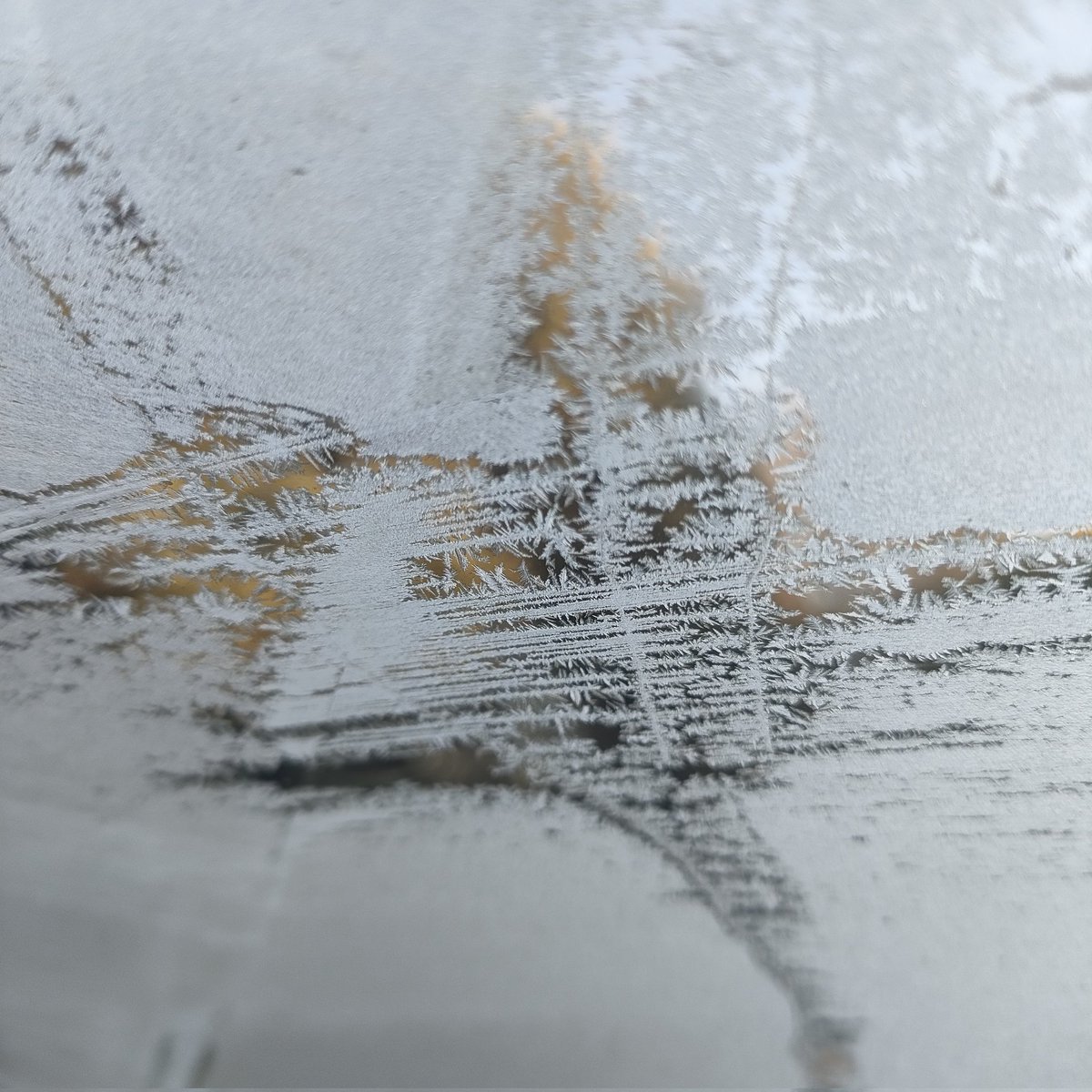 Sarah Downs 🇿🇦 tweet media