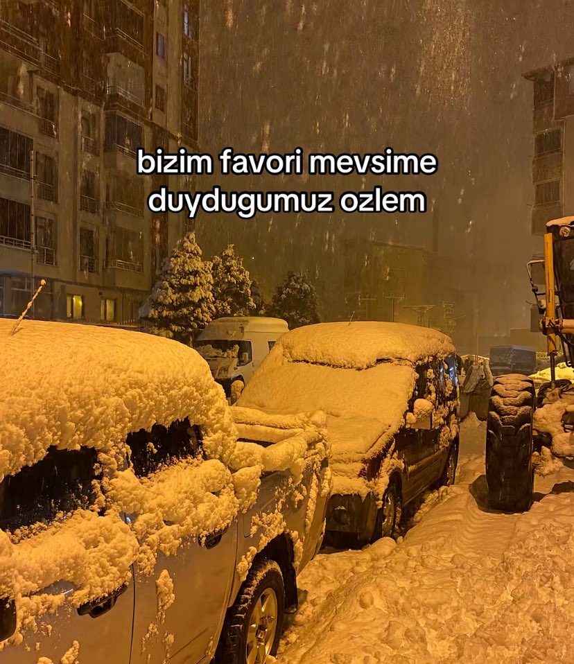 Alya (@alyareckles) on Twitter photo 