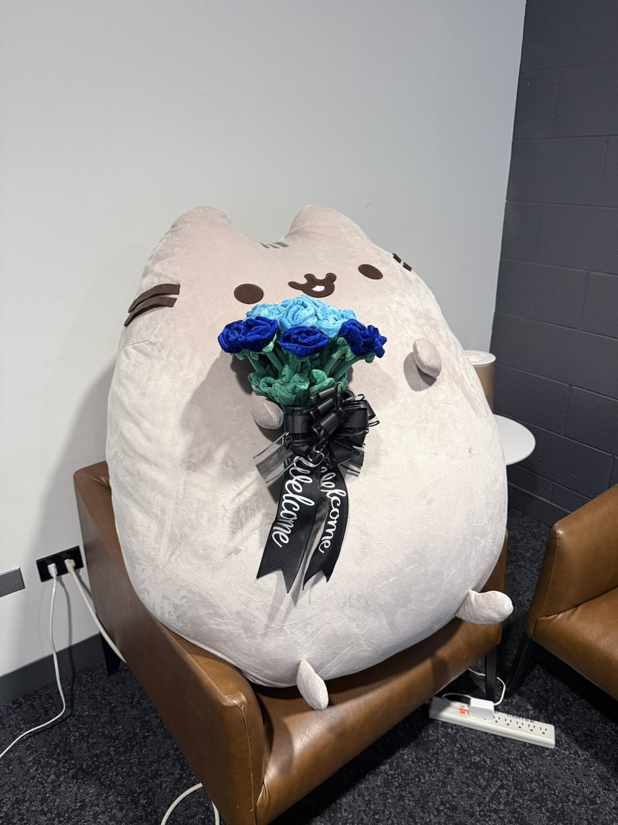 o...a........o....Pusheen......