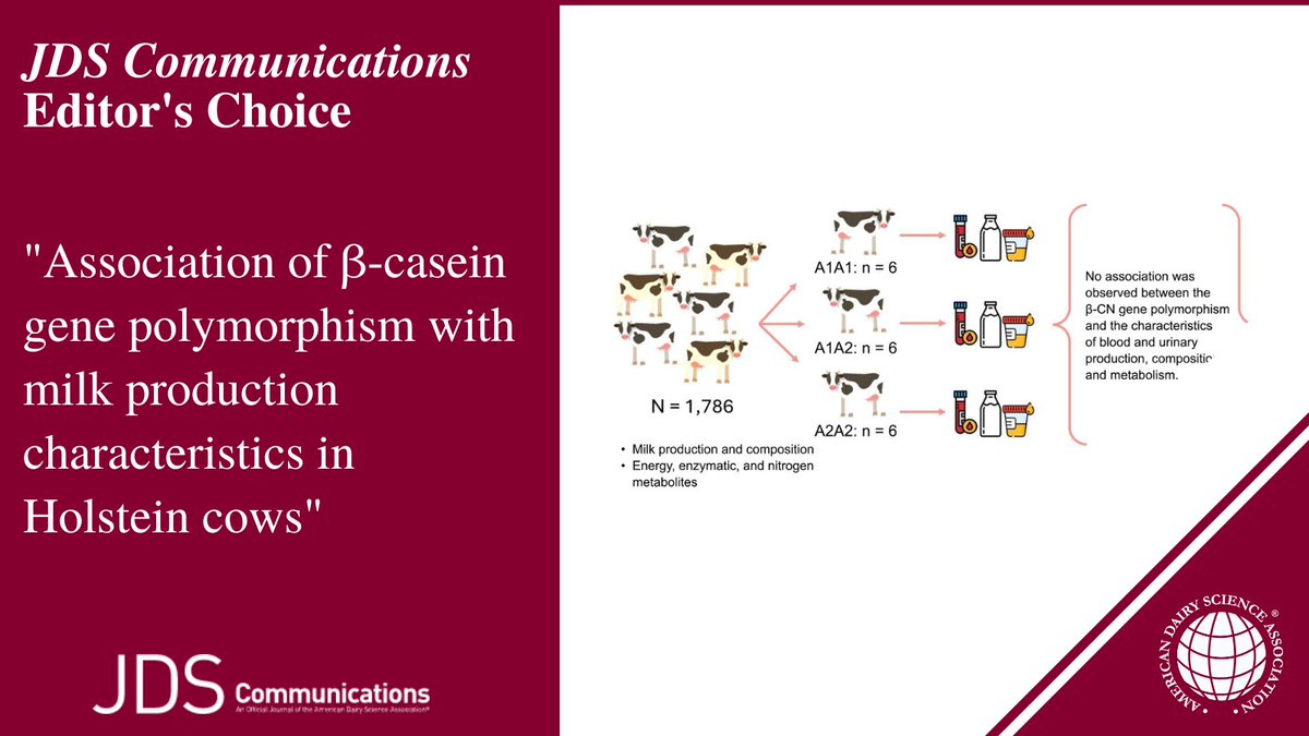 Journal of Dairy Science | JDS Communications (@jdairyscience) on Twitter photo Is there an association between β-casein gene polymorphism and productive and metabolic traits in dairy cows? Learn more in a #JDSCommunications study from a <a href="/usponline/">USP - Universidade de São Paulo</a> team ➡️ doi.org/10.3168/jdsc.2…
#DairyScience #SocietyPubs Is there an association between β-casein gene polymorphism and productive and metabolic traits in dairy cows? Learn more in a #JDSCommunications study from a <a href="/usponline/">USP - Universidade de São Paulo</a> team ➡️ doi.org/10.3168/jdsc.2…
#DairyScience #SocietyPubs