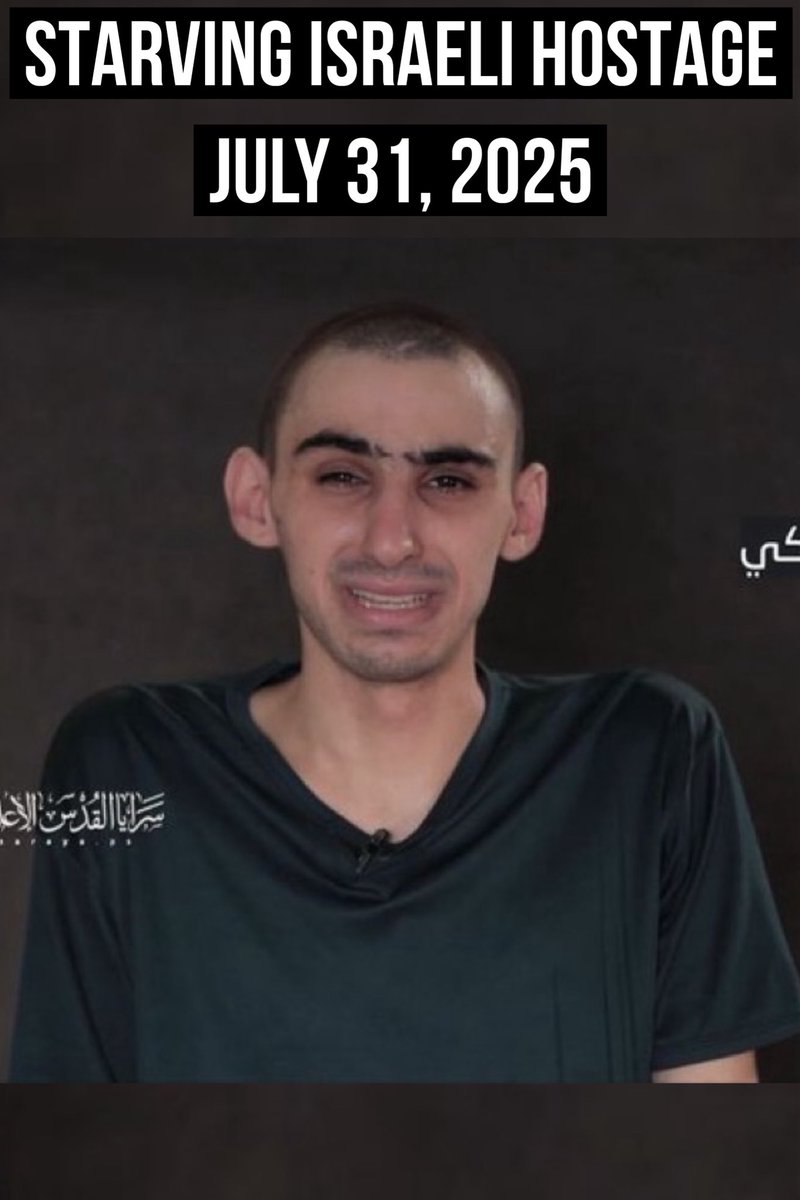 Caт Bee 🪶 tweet media