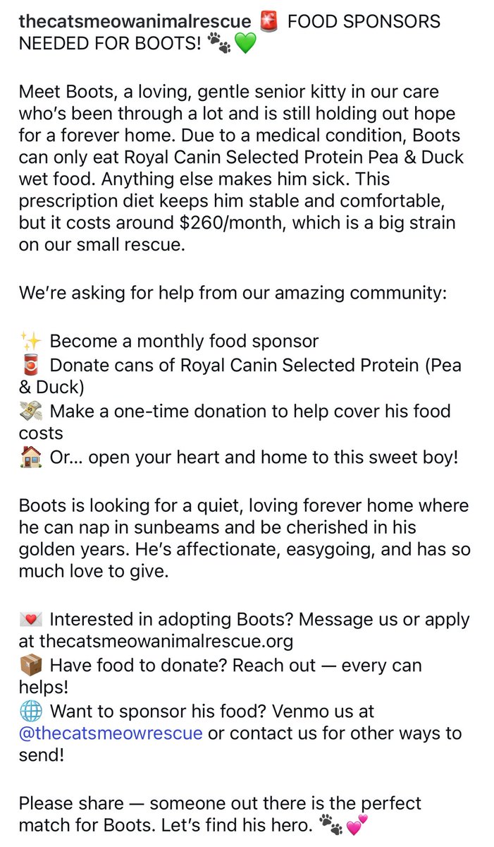 Double plea today: 

8yo Boots needs a food sponsor and a foreverhome in Los Angeles

Details in 2nd pic on how to donate and adopt through our rescue 😻

#CatsOfX #XCats #thursdayvibes #forgottensoulshour #CatsOfTwitter