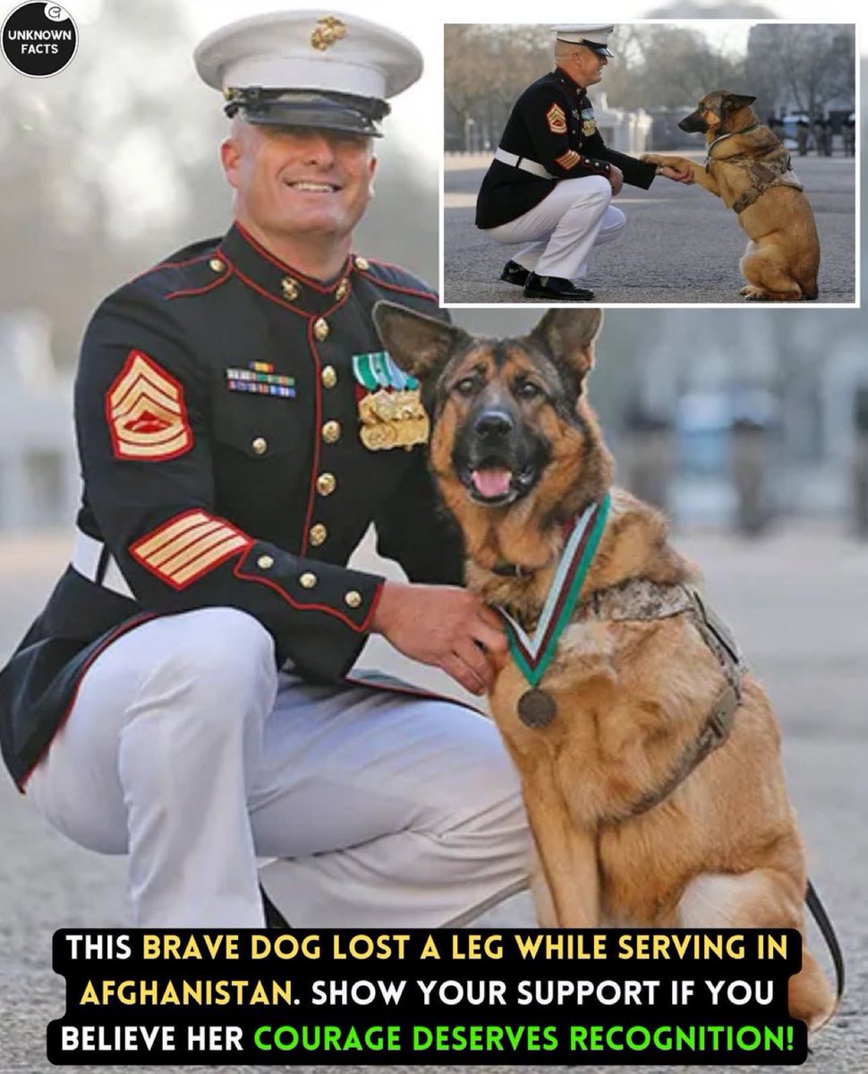 Puppies 🐶 tweet media