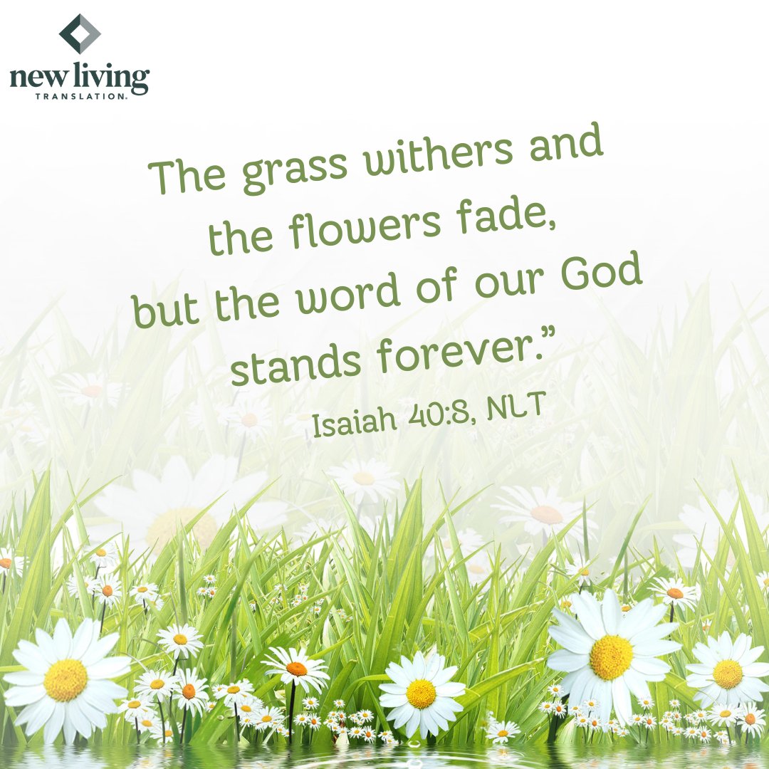 NLT Bible Verse tweet media