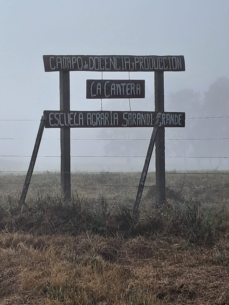 PlanAgro's tweet photo. Participamos de la Jornada en📌Campo Auxiliar de la Escuela Agraria de Sarandí Grande,Florida
✔️Se realizan diferentes #SistemasProductivos
#cría #recría #engorde en #FeedLot para que estudiantes tengan conocimiento en todas las áreas y salgan preparados #trabajo
@bovemariafer https://t.co/5l6MGtzPOx