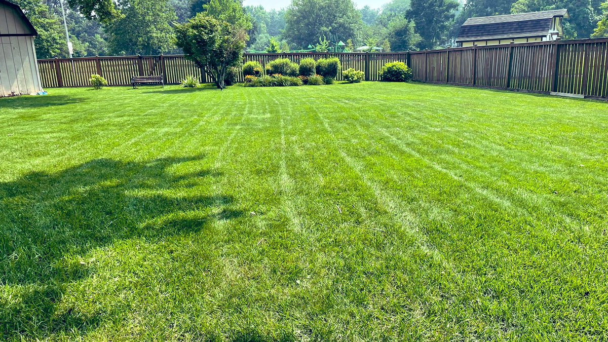 With all the rain, my backyard has really greened up. Perfect for my zoomies and squirreling.