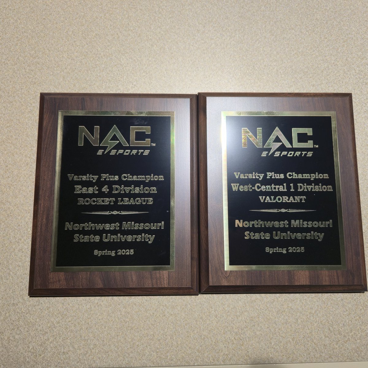 Northwest Bearcat Esports tweet media