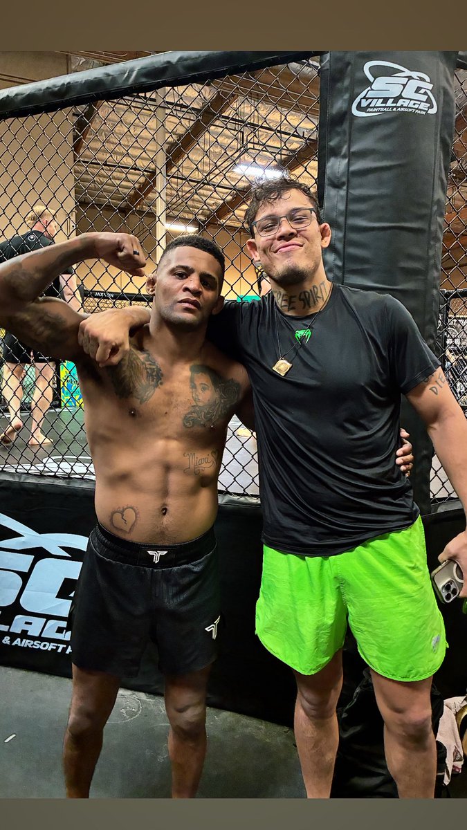 Patchy Mix tweet media