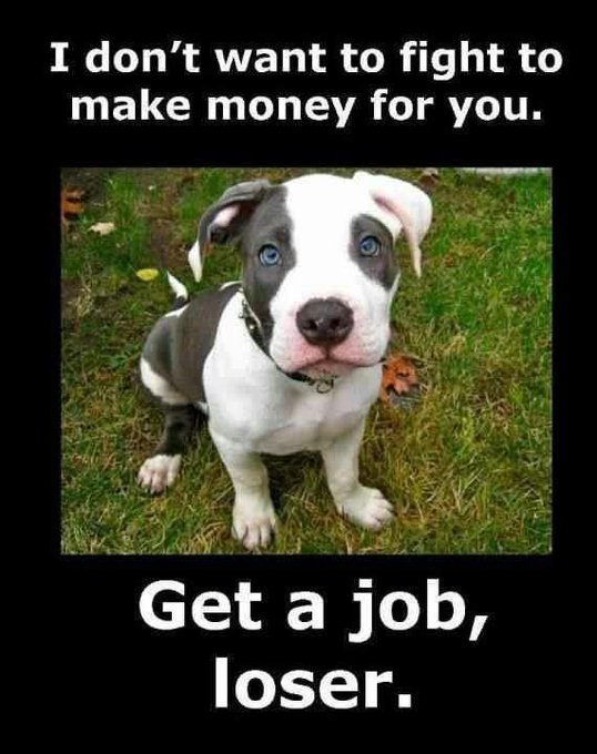 It does take a real scumbag loser to train a little guy like this to fight and be tortured by you. One thing I do know, there will be a time when you finally pay for what you have done to them. That you can be sure of!