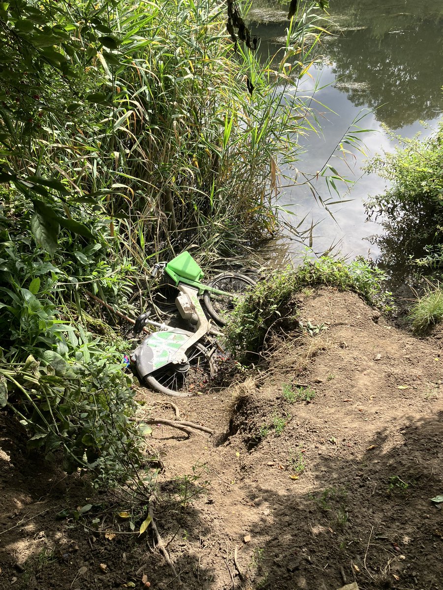 Wildlife Gardeners of Haggerston tweet media