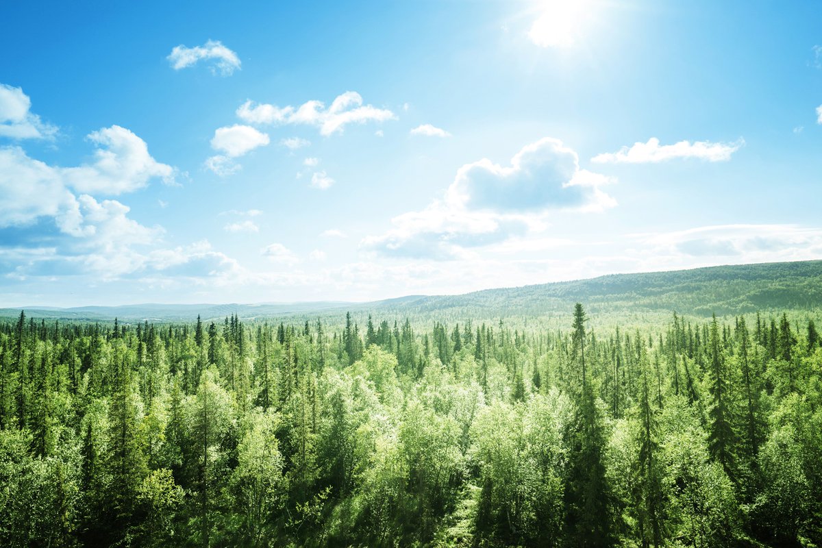 Fire danger is increasing due to hot weather. Wildfires can start easily in these conditions. If you're having a campfire, keep it small, safe and attended. Soak it, stir it and soak it again to ensure it is out. Visit albertafirebans.ca to check for bans and restrictions.