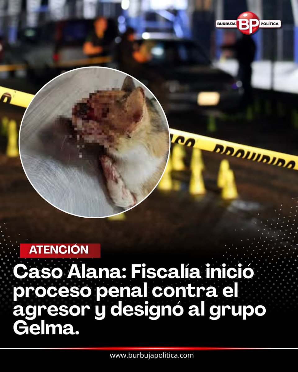 Caso Alana: Fiscalía inició proceso penal contra el agresor y designó al grupo Gelma. burbujapolitica.com/caso-alana-fis…