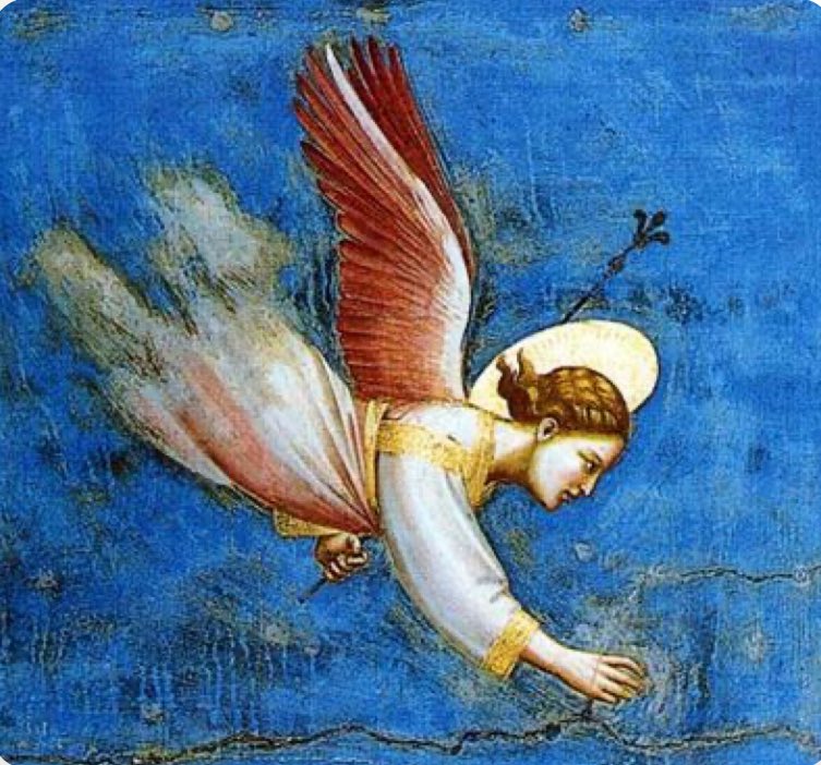 Un merveilleux ange de Giotto