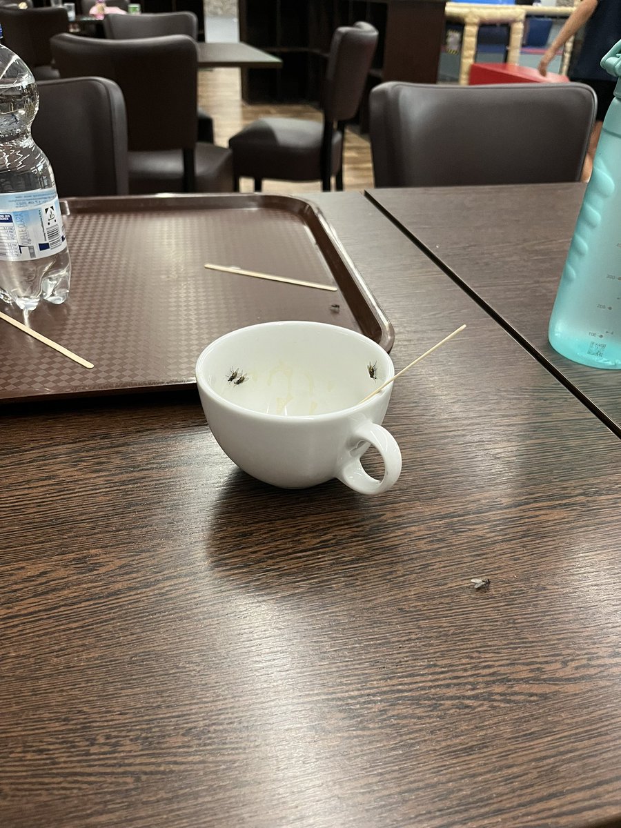 Im Indoorspielplatz, im Sitz-, Warte- und Gastrobereich waren Massen von 🪰Fliegen. So etwas habe ich noch nie erlebt. 
Als meine Kinder beim Eis kaufen fragten, „warum sind hier überall so viele Fliegen“ Frau am Tresen: „Wenn ich euch das erzähle werdet ihr mich schlagen“ 🪰