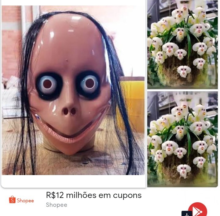 Tweet media two