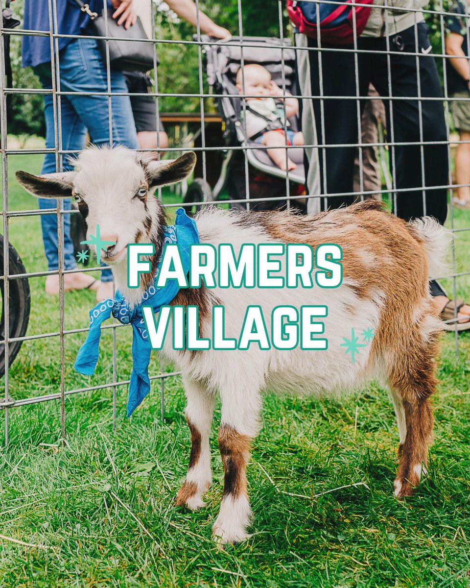 King County CHOMP! tweet media