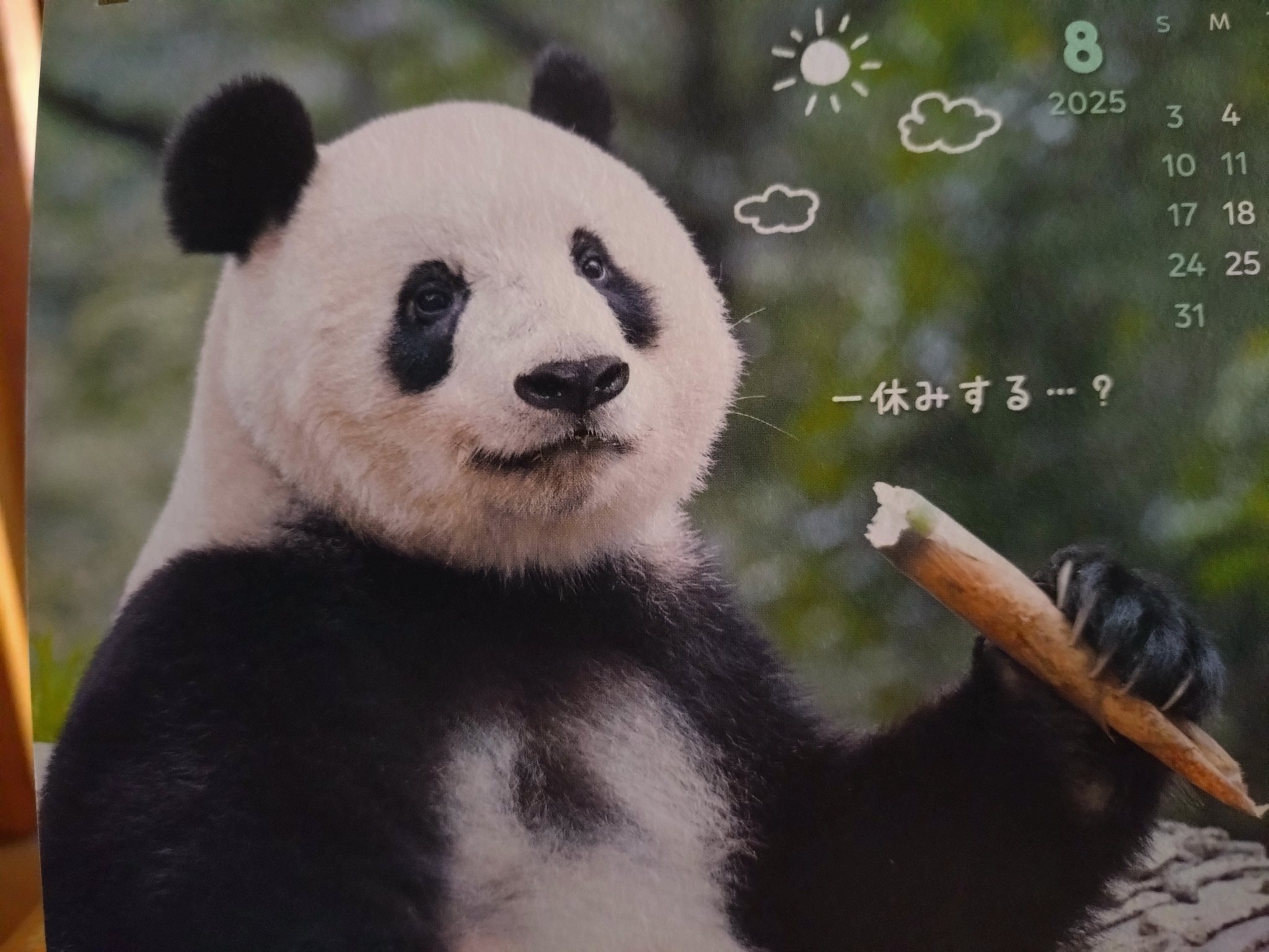 大幅値下げ品☆当選品☆ペコちゃん☆Anniversary☆ジャンボクッション 1046007580977409_01_417.jpeg