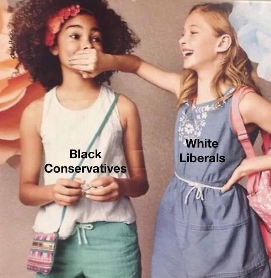 <a href="/LibertyCappy/">Declaration of Memes</a> Mhmm.