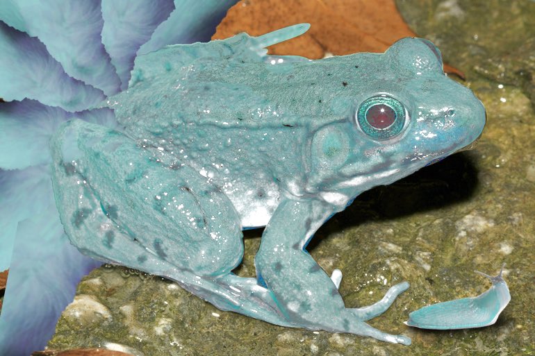 ELumimarja's tweet image. #Len_en