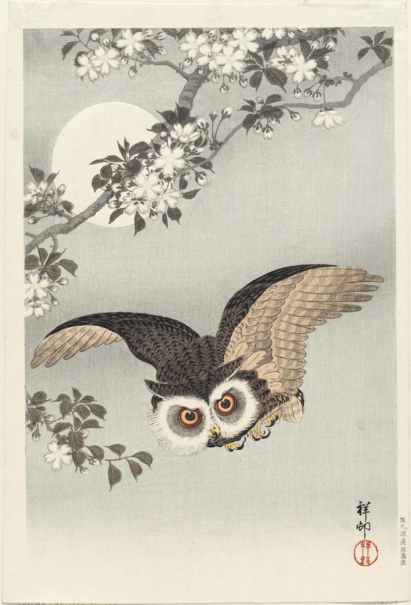 JapanTraCul's tweet image. Scops Owl, Cherry Blossoms, and Moon, by Ohara Koson, 1926