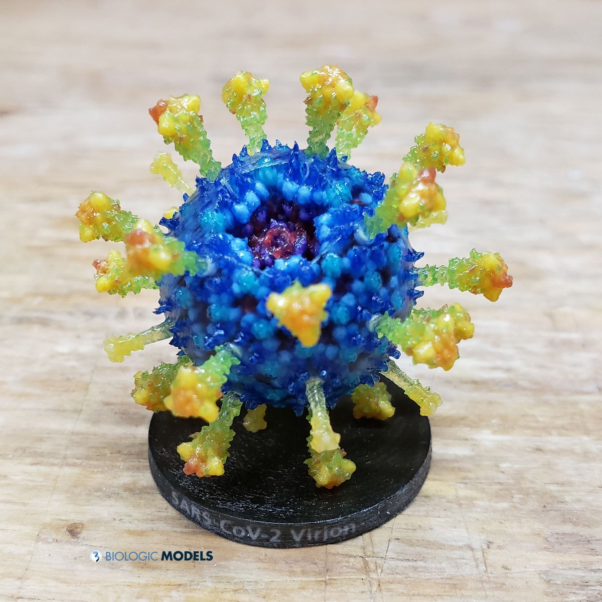 BiologicModels's tweet image. Our #3Dprint of the #SARS-CoV2 Virion is used by doctors to explain the importance of blood glucose control during infections by pointing to the way sugar molecules (green) bind to the Spike protein (yellow) which hides the virus from immune detection. buff.ly/3AdFpko