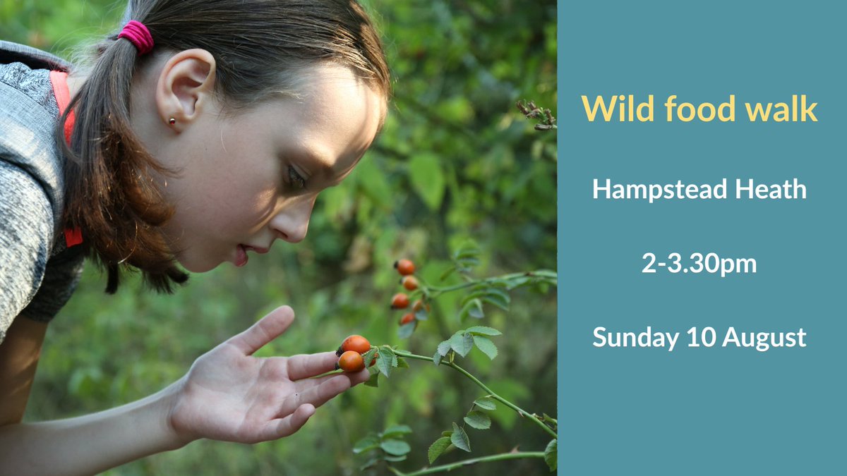 Discover London's wild side!🍄  

Join our Wild Food Walk at Hampstead Heath on 10 Aug to learn about edible, medicinal &amp; useful plants. 🌳

🎟️ Sign up: eventbrite.co.uk/e/wild-food-wa…