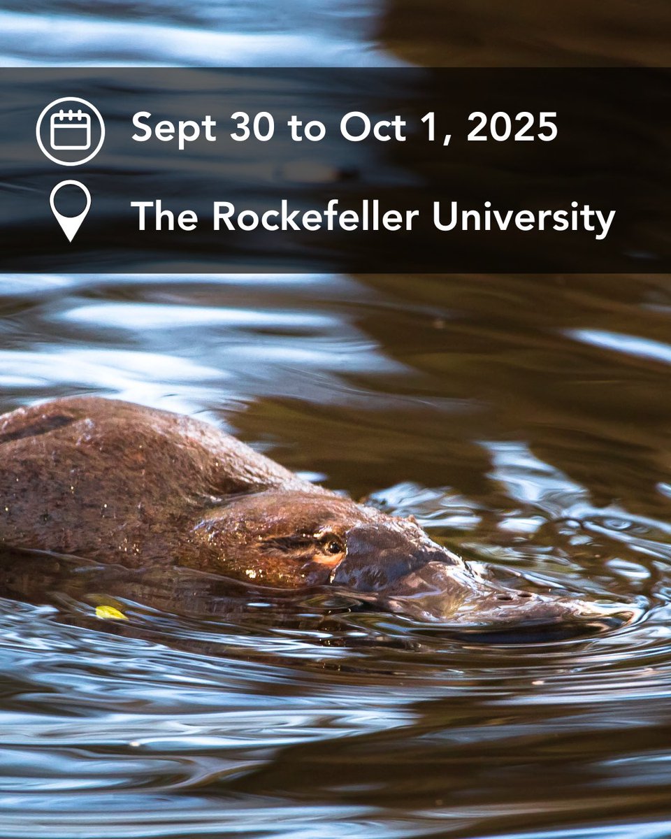 🧬 Vertebrate Genomes Project (VGP) In-Person Conference 2025
 📍 New York, NY
 📅 September 30 (9AM) – October 1 (8PM EDT)
Join top researchers and experts to explore the cutting edge of vertebrate genome science—from assembly tech to conservation genomics. 🌍
Register here: