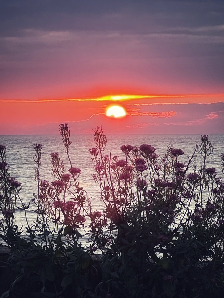 Croyde Bay tweet media