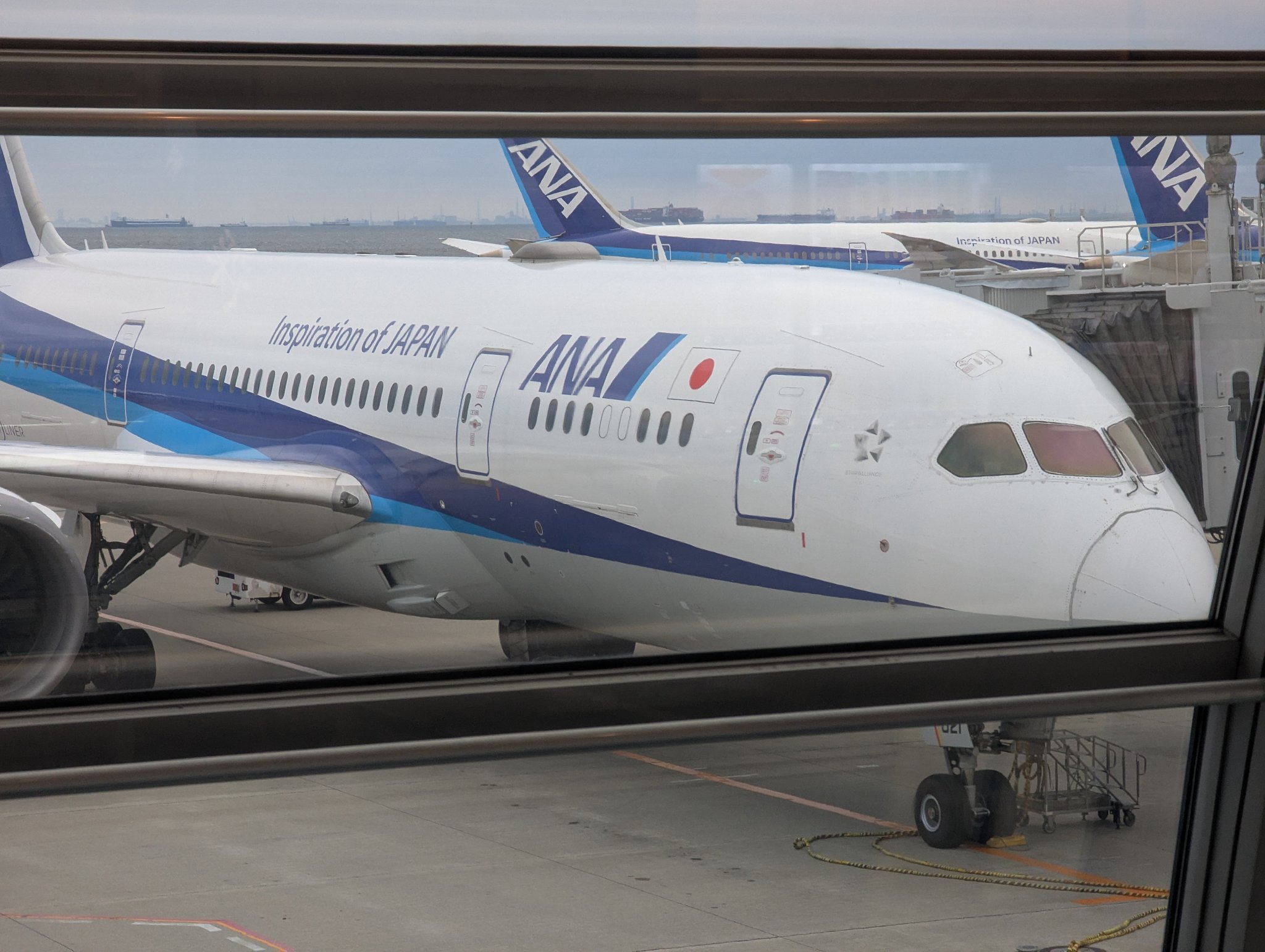 よっぴー (@g_yoppi_) / X