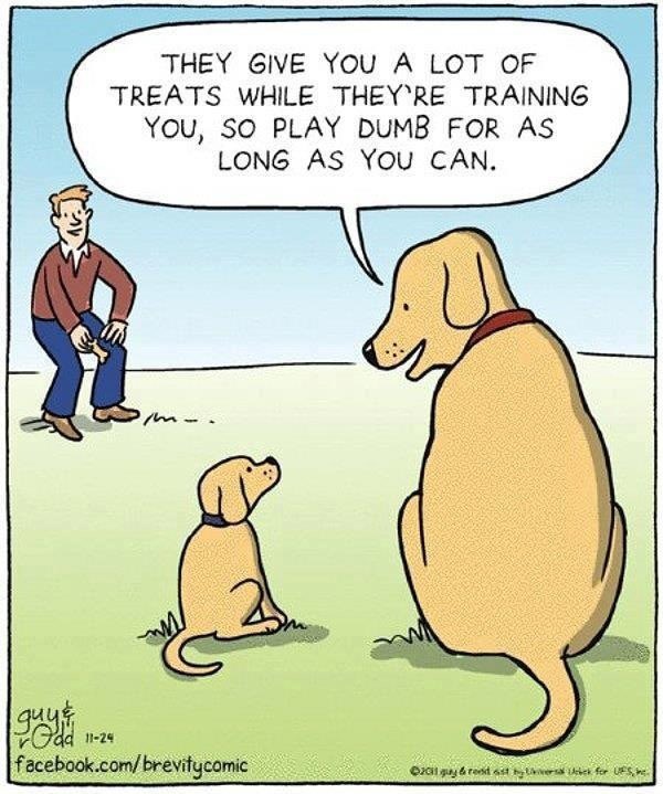 Playing dumb  #HasAFunnyWayOf being rewarding..