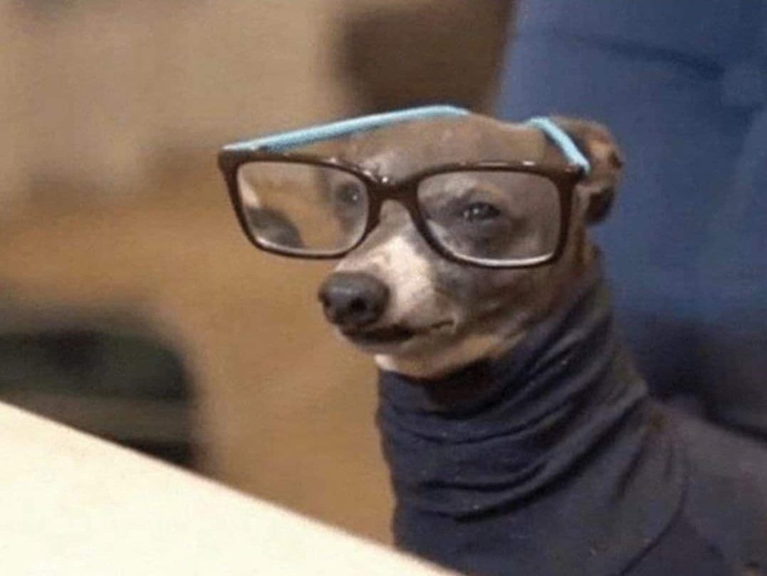 Priya💕 tweet media