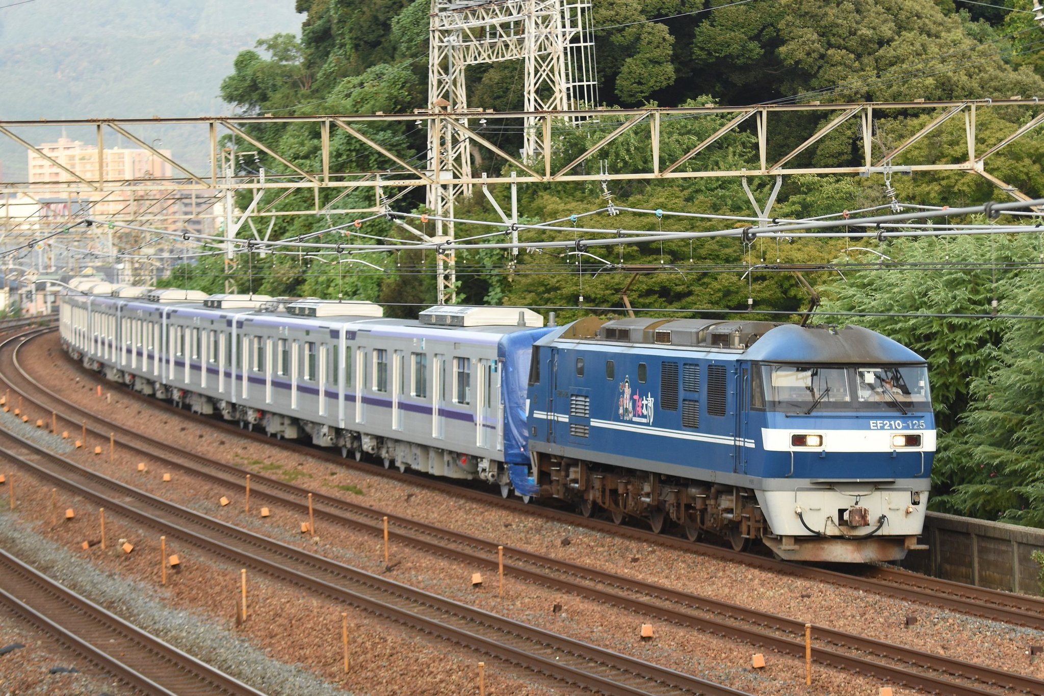 芝山　極上　象根付　11g 東H6-0125☆2F 東芝 漏電ブレーカー MCCB SS30 30AMP（ZBB-00016） | kosho net