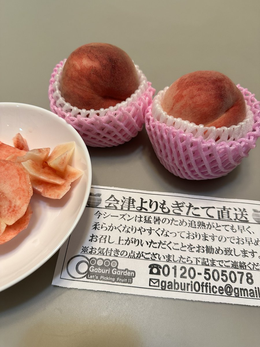 らいおんまる@MaxFritzプレス兼本店店長 (@sr_raionmaru) / Posts / X