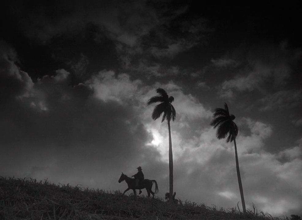 About Cine tweet media