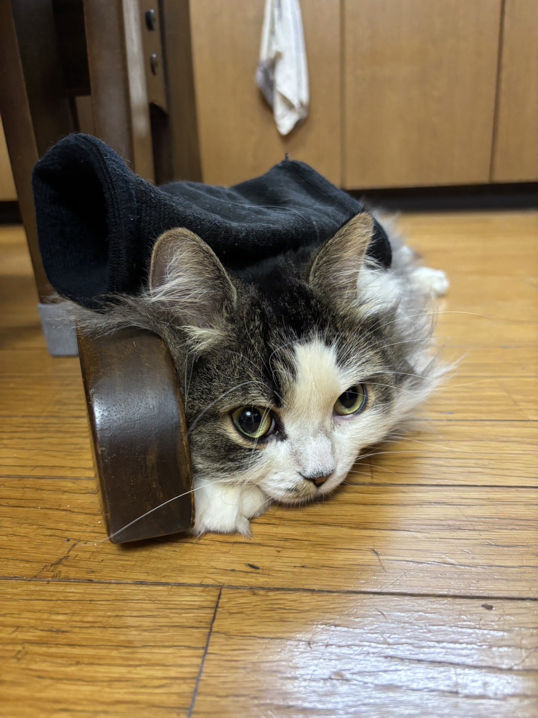 ことは📚7/26【Cエリアお4】 on X: 