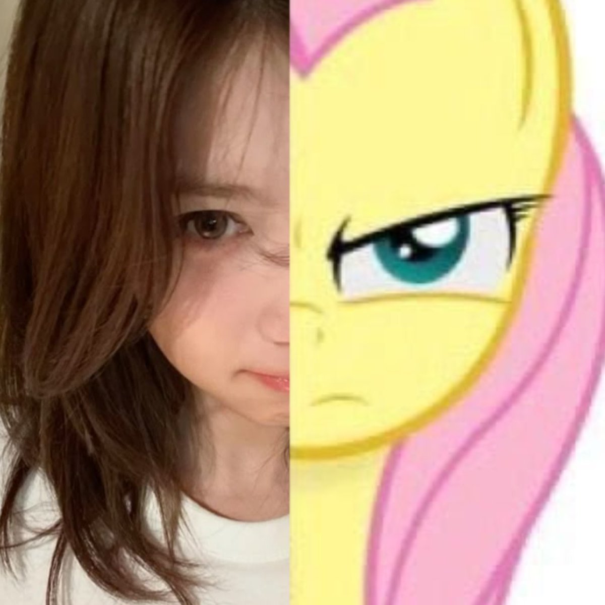 sana acervo (@sanacervy) on Twitter photo 