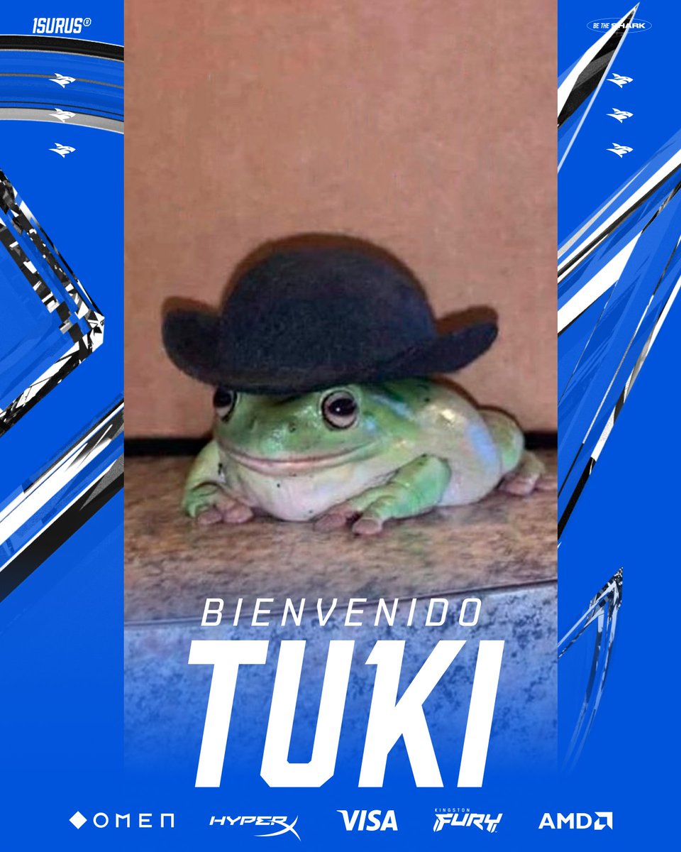 Isurus (@teamisurus) on Twitter photo ¡BIENVENIDO TUKI! 🐸
<a href="/fgediting_/">Tuki highlights</a> se suma al Tiburón para traerles los mejores Voicecomms by <a href="/HyperXLatam/">HyperX LATAM</a> de toda la #LTA
Denle la bienvenida que el ya está cocinando para ustedes 🤠🫵
#GoISG 🦈 #BeTheShark ¡BIENVENIDO TUKI! 🐸
<a href="/fgediting_/">Tuki highlights</a> se suma al Tiburón para traerles los mejores Voicecomms by <a href="/HyperXLatam/">HyperX LATAM</a> de toda la #LTA
Denle la bienvenida que el ya está cocinando para ustedes 🤠🫵
#GoISG 🦈 #BeTheShark