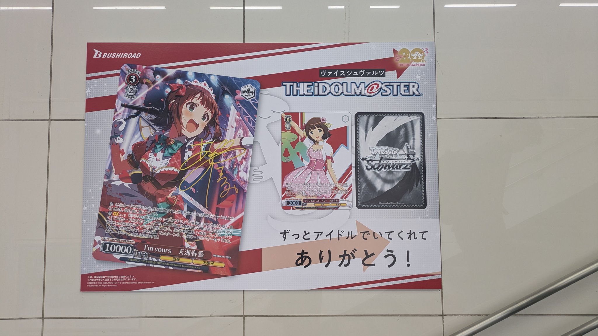ヴァイスシュヴァルツ まとめ売り 約5キロ(箱込み) ヴァイスシュヴァルツ まとめ売り 約5キロ(箱込み)