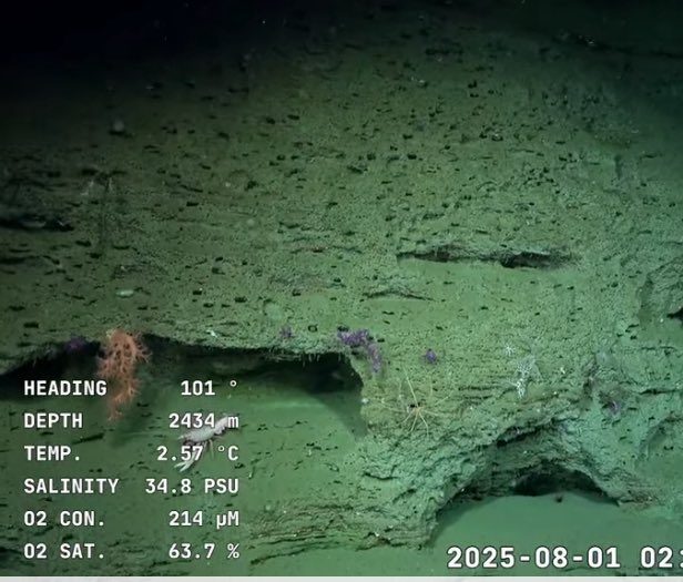 como que a 2000 metros de profundidad hacen 2 grados hace más frío en mi pieza